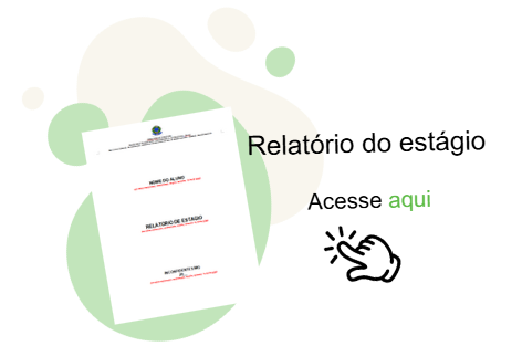 relatorio