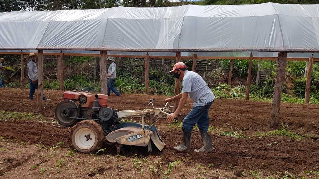 Colaboradores do Campus Inconfidentes preparam a terra para receber plantas.