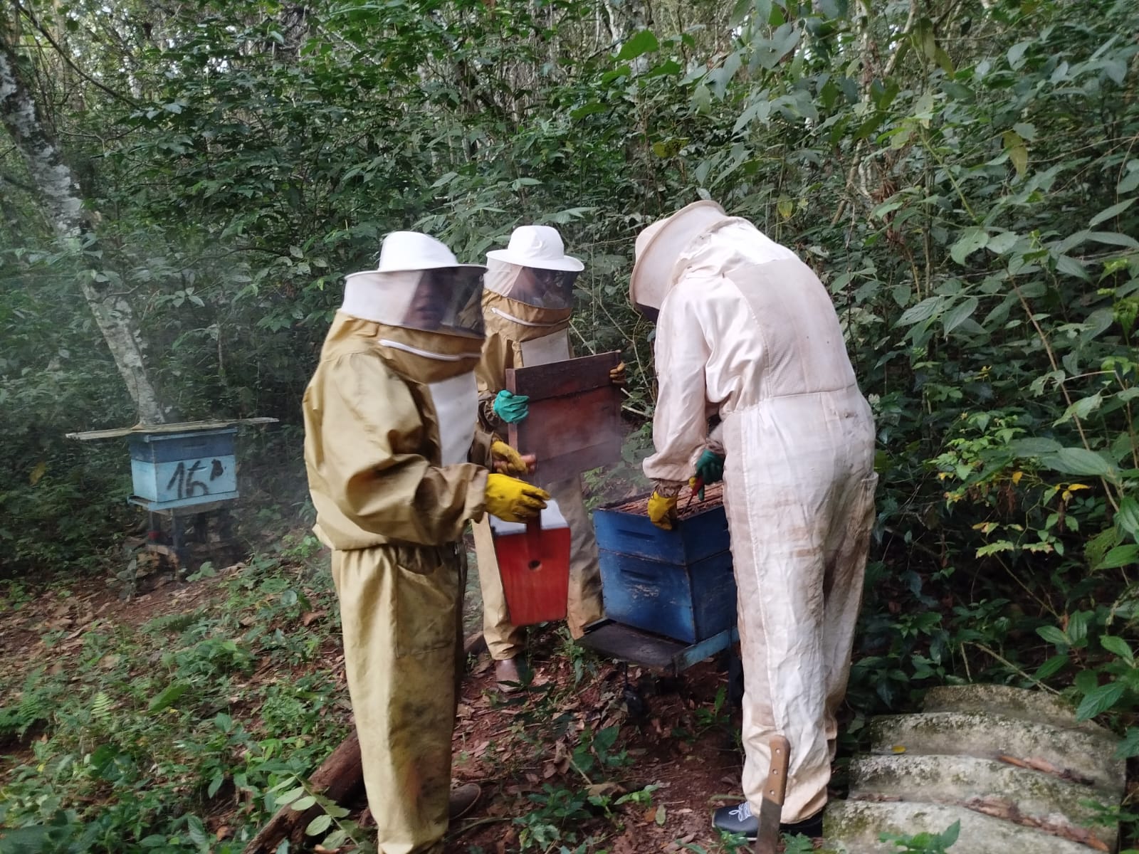 Novas caixas de criação de abelhas foram instaladas na Fazenda-Escola (Foto: Divulgação)