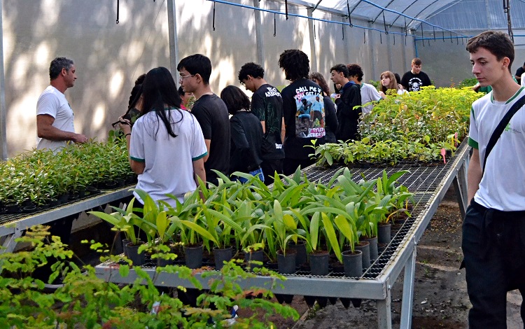 Estudantes fazem visita ao viveiro de mudas "Professor Lílian Vilela". (Foto: Ascom)