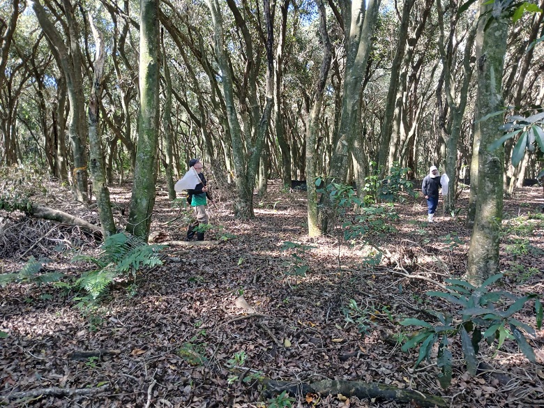 Pesquisadores do Campus Inconfidentes fazem captura de espécies de insetos, na região do reservatório de Itaipu. (Foto: Divulgação)