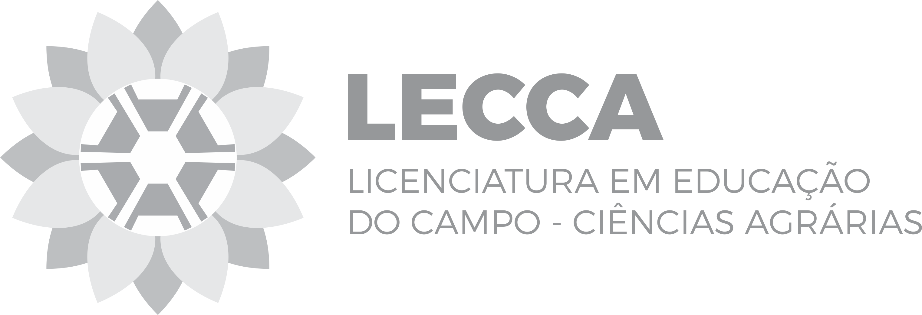 LECCA horizontal cinza