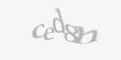 Código de segurança